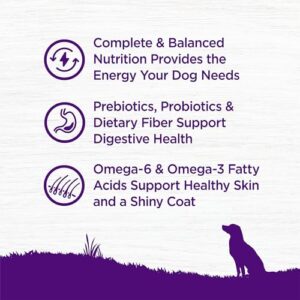 Wellness Complete Health Dry Dog Food with Grains, Natural Ingredients, Made in USA with Real Meat, All Breeds, For Adult Dogs (Chicken & Oatmeal, 15-Pound Bag)