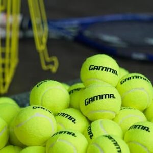 GAMMA Sports Pressureless Tennis-Balls Bucket, Bulk Tennis Balls, Premium Tennis Accessories, Pack of 48