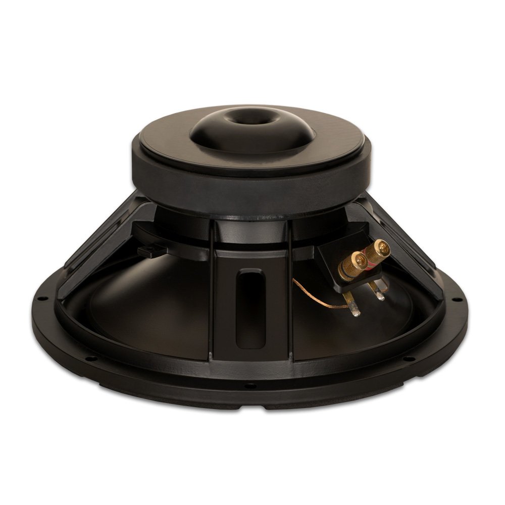 Goldwood Sound GW-10PC-8 Heavy Duty 8ohm 10" Woofer 400 Watts Replacement Speaker,Black