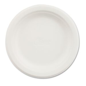 chinet 21225pk paper dinnerware plate 6-inch dia white 125/pack