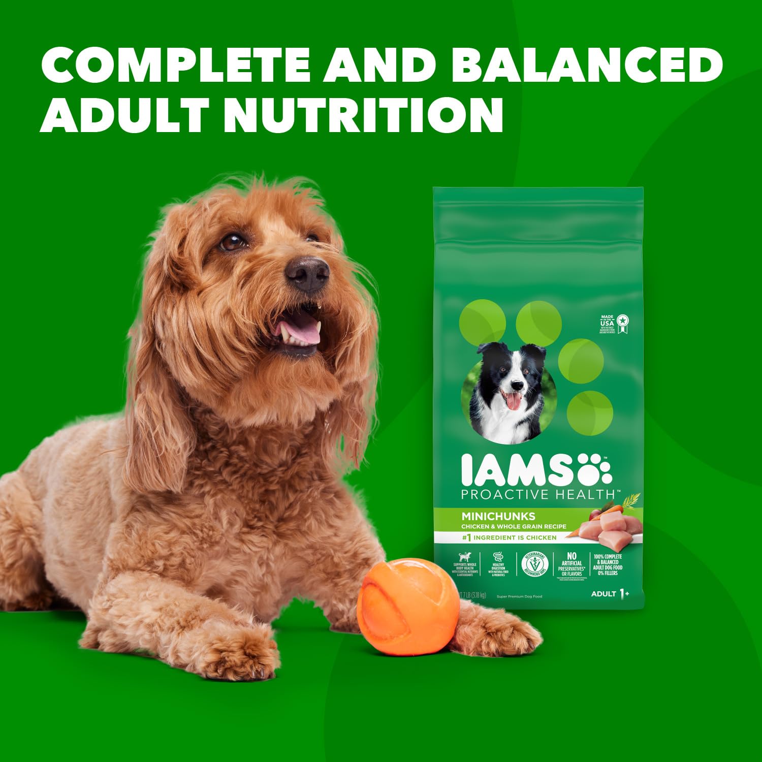 IAMS Adult Minichunks Small Kibble High Protein Dry Dog Food with Real Chicken, 15 lb. Bag