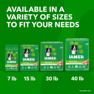 IAMS Adult Minichunks Small Kibble High Protein Dry Dog Food with Real Chicken, 15 lb. Bag