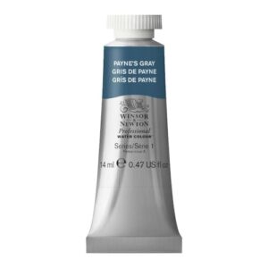 winsor & newton professional watercolor, 14ml (0.47-oz) tube, payne's gray