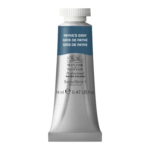 Winsor & Newton Professional Watercolor, 14ml (0.47-oz) Tube, Payne's Gray