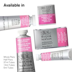 Winsor & Newton Professional Watercolor, 14ml (0.47-oz) Tube, Payne's Gray