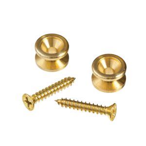 d'addario accessories planet waves solid brass end pins - gold (pair)