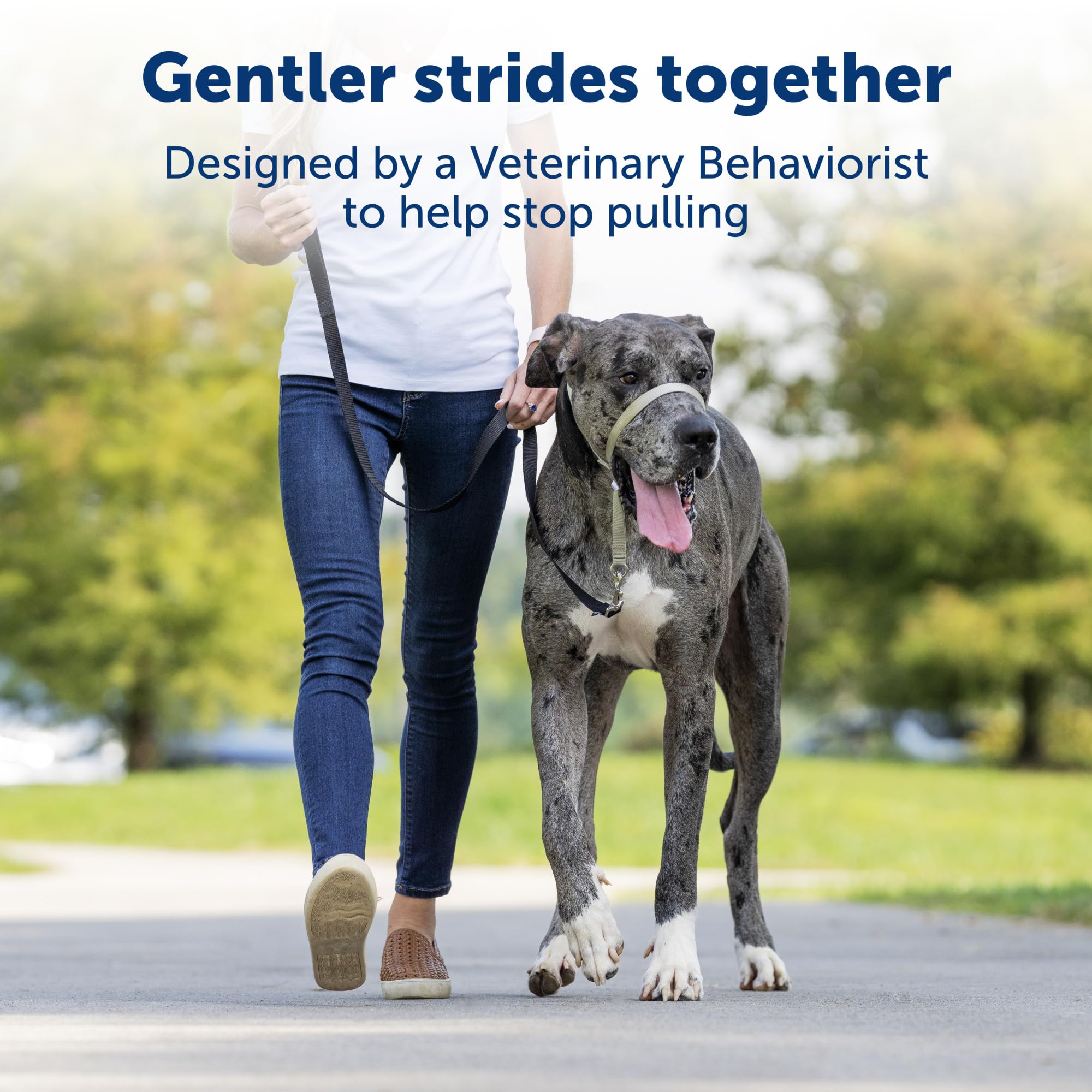 PetSafe Gentle Leader No-Pull Dog Headcollar - The Ultimate Solution to Pulling - Redirects Your Dog's Pulling for Easier Walks - Helps You Regain Control - Large, Royal Blue