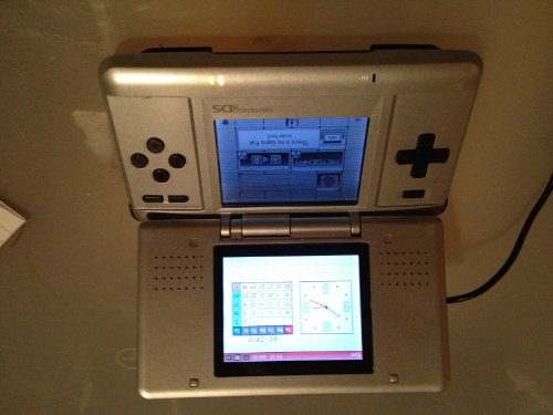 Nintendo DS Titanium