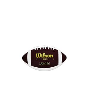 wilson ncaa mini autograph football,white