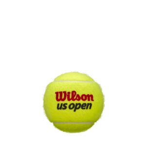 WILSON US Open Tennis Balls - Regular Duty, Single Can (3 Balls)