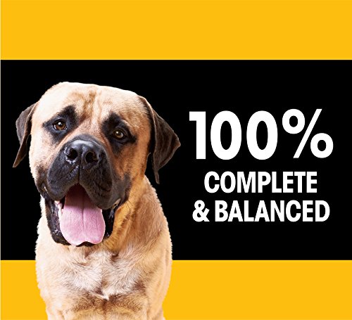 PEDIGREE For Big Dogs Adult Complete Nutrition Large Breed Dry Dog Food Roasted Chicken, Rice & Vegetable Flavor Dog Kibble, 36.4 lb. Bag