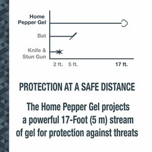 SABRE Pepper Gel Home Defense, 17 Bursts, 17-Foot (5-Meters) Range, Gel Is Safer, Includes a Wall Mount Clip, Glow-In-The-Dark Twist Lock Safety