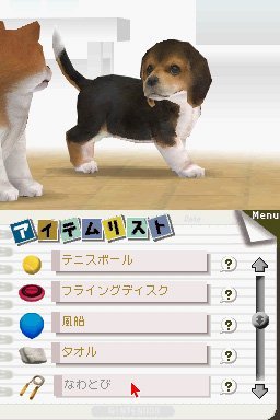 Nintendogs Lab & Friends