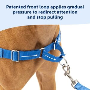 PetSafe Easy Walk Dog Harness - No Pull Dog Harness - Large, Royal Blue