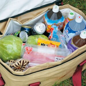 Snow Peak Soft Cooler 38 - Keeps Drinks Cold and Food Fresh - 10 Gal, 19 x 12.5 x 12.5 in