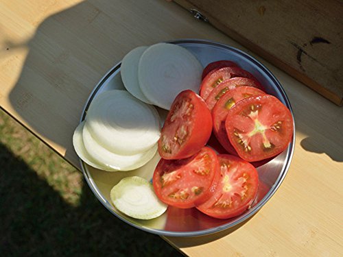 Snow Peak Tableware Plate, TW-034, Stainless Steel, Lightweight for Camping Everyday Use, Made in Japan, Lifetime Product Guarantee