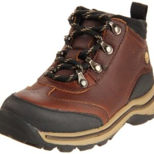 Timberland Regular Kid Hiking Boot (Toddler/Little Kid/Big Kid),Brown Smooth,4 M US Big Kid