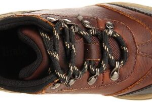 Timberland Regular Kid Hiking Boot (Toddler/Little Kid/Big Kid),Brown Smooth,4 M US Big Kid