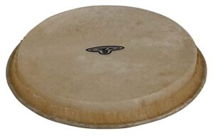 latin percussion cp221a 6-inch replacement bongo head for cp221