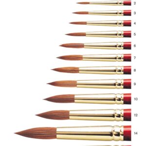 Winsor & Newton Sceptre Gold II Brush Round-Short Handle 12