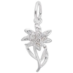 rembrandt charms edelweiss charm, sterling silver