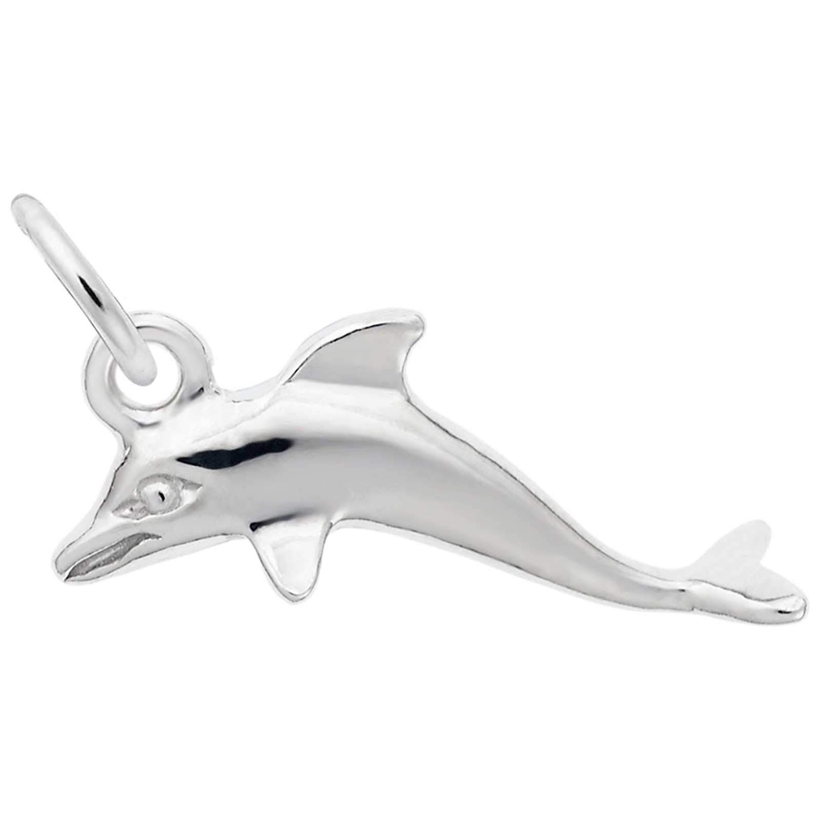 Rembrandt Charms Dolphin Charm, Sterling Silver