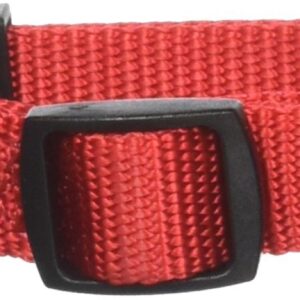 Petmate Adjustable Collar, 5/8 by 10 by 16-Inch, Red