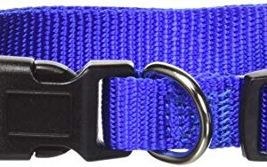 Petmate Adjustable Collar, 5/8 by 10 by 16-Inch, Blue