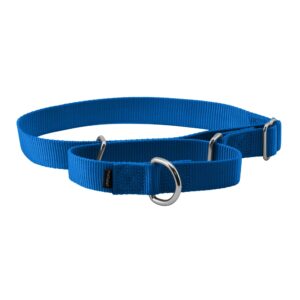 PetSafe Adjustable Martingale Collar - Only Tightens When Dogs Pull, Prevents Slipping Out - Helps with Strong Pullers, Increased Control - Alternative to Choke Collar - 1", Large, Royal Blue