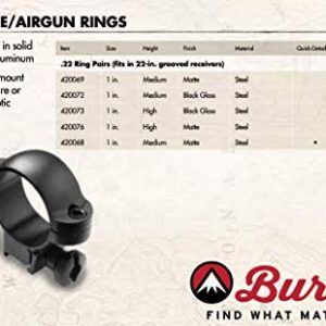 Burris Brandnameinternalx 40mm Rings 420073 Rimfire & Airgun, Gloss Black, high (6003-0295)