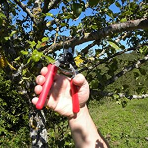 Felco Pruning Shears (F 12) - High Performance Swiss Made One-Hand Garden Pruner with Steel Blade