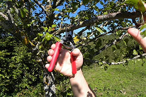 Felco Pruning Shears (F 12) - High Performance Swiss Made One-Hand Garden Pruner with Steel Blade