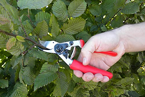 Felco Pruning Shears (F 12) - High Performance Swiss Made One-Hand Garden Pruner with Steel Blade