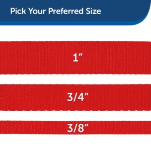 PetSafe Nylon Dog Leash – Strong, Durable, Traditional Style Leash with Easy to Use Bolt Snap – 3/4" x 6', Red