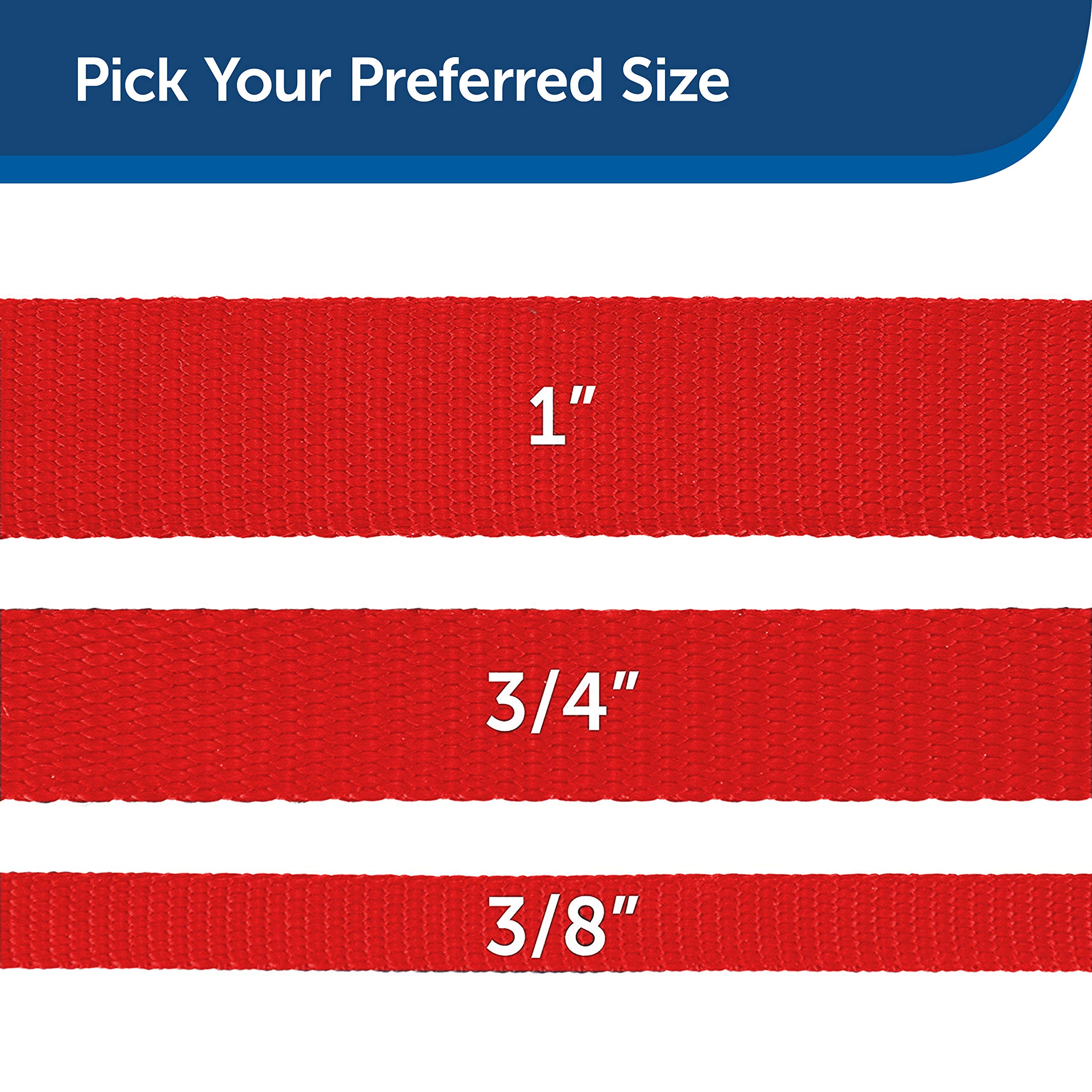 PetSafe Nylon Dog Leash – Strong, Durable, Traditional Style Leash with Easy to Use Bolt Snap – 3/4" x 6', Red