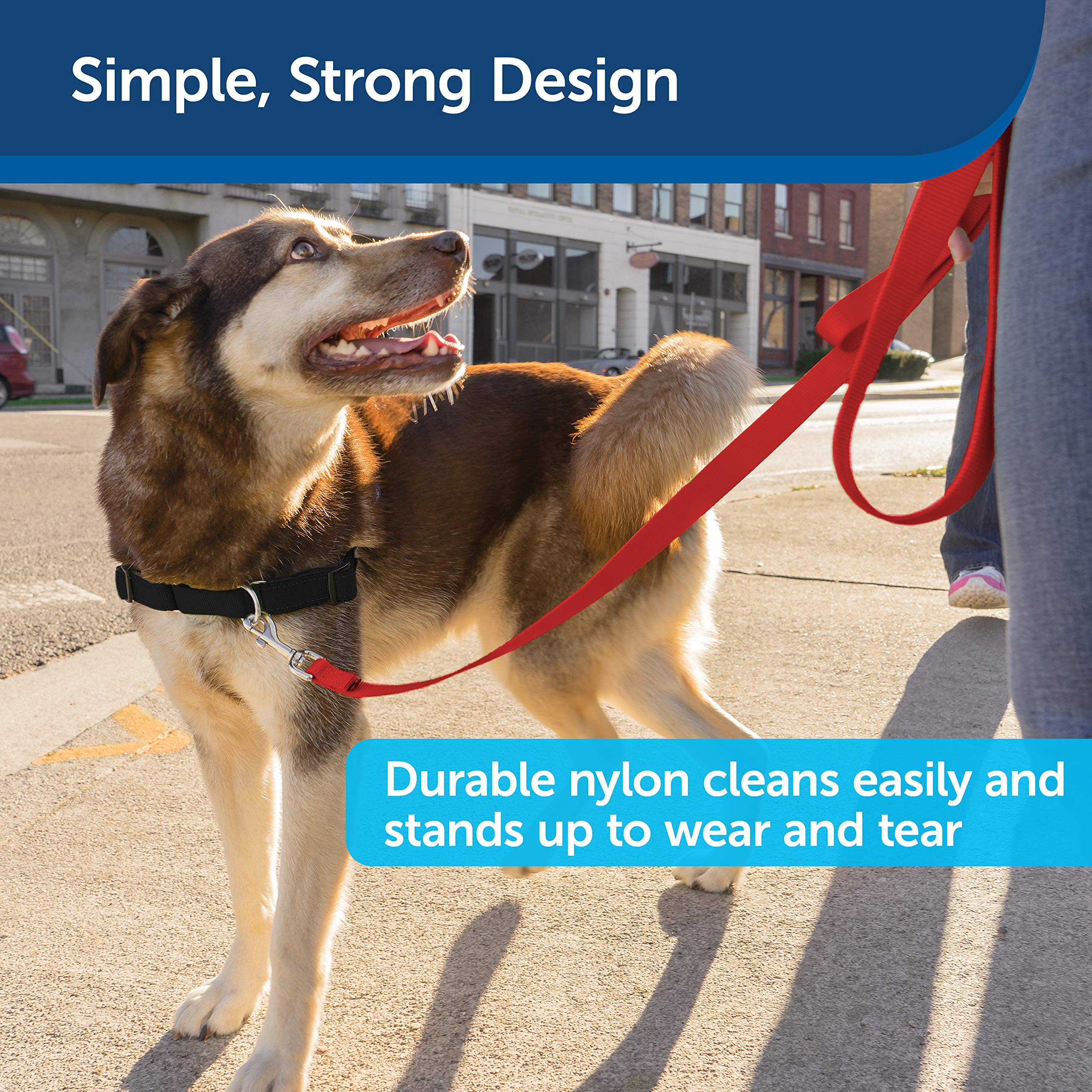 PetSafe Nylon Dog Leash – Strong, Durable, Traditional Style Leash with Easy to Use Bolt Snap – 3/4" x 6', Red