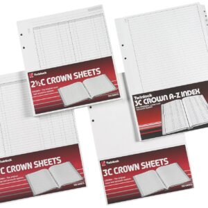 Rexel Twinlock Crown 3C Refill Sheets Double Ledger (Pack of 100 Sheets)