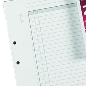 Rexel Twinlock Crown 3C Refill Sheets Double Ledger (Pack of 100 Sheets)