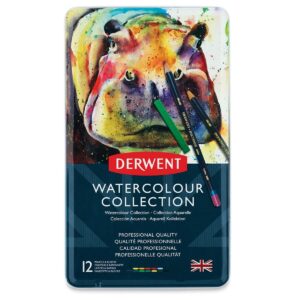 Derwent Colored Pencils, Watercolor, Water Color Pencils, Drawing, Art, Metal Tin, 12 Count (0700303),Blue