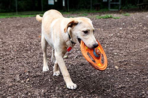 Hartz Tuff Stuff Toss Around Plush Frisbee Flyer Dog Toy - Medium/Large