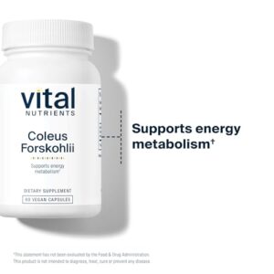 Vital Nutrients - Coleus Forskohlii 10% - Cardiovascular Support - Muscle Relaxation - 60 Vegetarian Capsules per Bottle - 90 mg