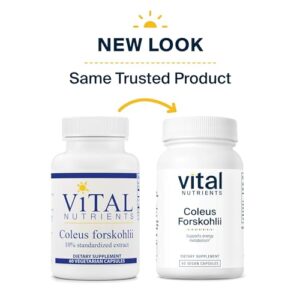 Vital Nutrients - Coleus Forskohlii 10% - Cardiovascular Support - Muscle Relaxation - 60 Vegetarian Capsules per Bottle - 90 mg