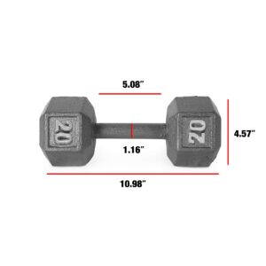 CAP Barbell Solid Hex Single Dumbbell (20-Pound)