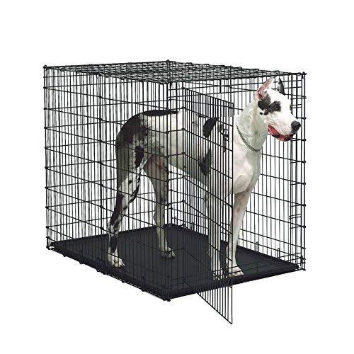 MidWest Homes for Pets 54-By-35-By-45-Inch Single-Door Starter Series Pet Crate