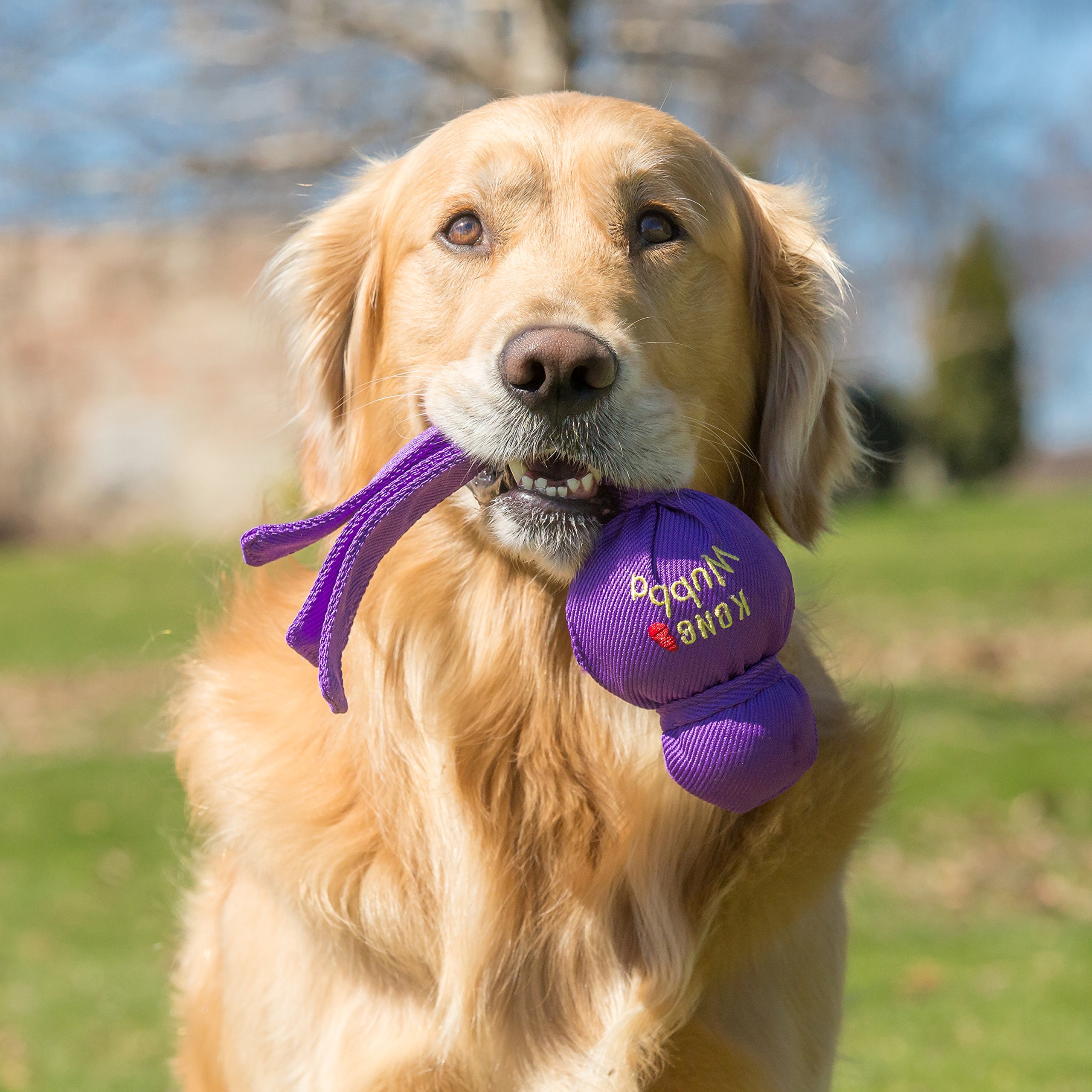 KONG Wubba - Dog Toy for Tug of War & Fetch - Dog Supplies for Puppy & Dog Playtime - Outdoor & Indoor Dog Toy - for XL Dogs