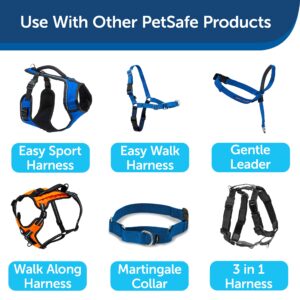 PetSafe Nylon Dog Leash - Strong, Durable, Traditional Style Leash with Easy to Use Bolt Snap - 1 in. x 6 ft., Royal Blue