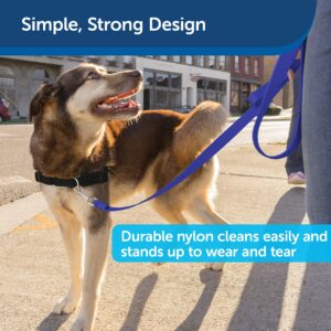 PetSafe Nylon Dog Leash - Strong, Durable, Traditional Style Leash with Easy to Use Bolt Snap - 1 in. x 6 ft., Royal Blue