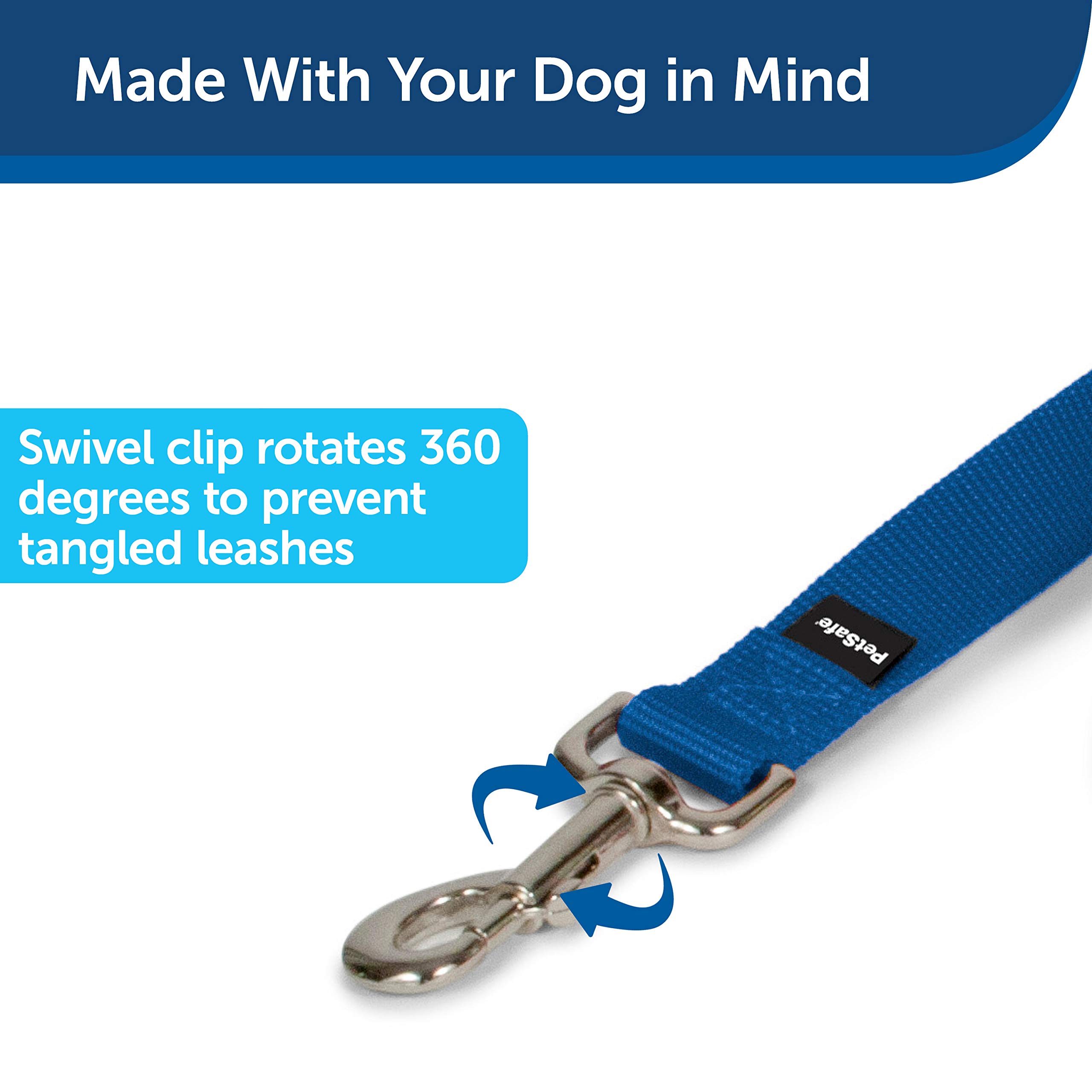 PetSafe Nylon Dog Leash - Strong, Durable, Traditional Style Leash with Easy to Use Bolt Snap - 1 in. x 6 ft., Royal Blue