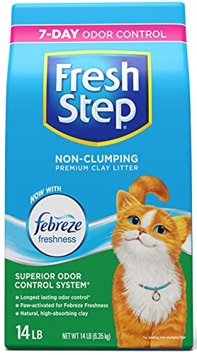 Fresh Step Non-Clumping Premium Cat Litter with Febreze Freshness, Scented, Multi, 224 Ounce (Package May Vary)