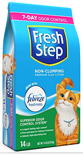 Fresh Step Non-Clumping Premium Cat Litter with Febreze Freshness, Scented, Multi, 224 Ounce (Package May Vary)